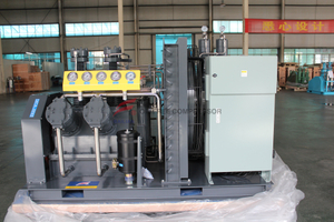  Compresseur d'air monté sur le patin WW-0,5 / 60 W